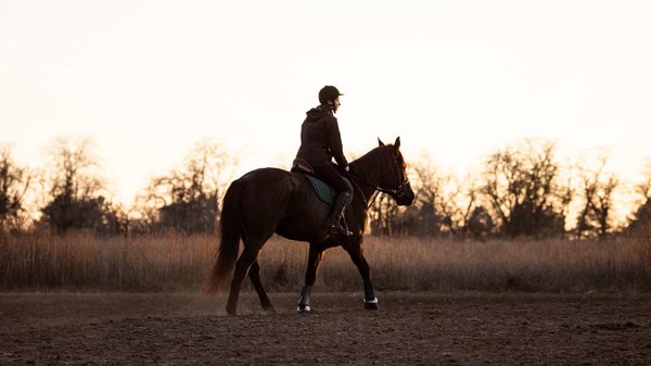 Les Bienfaits de la Méditation à Cheval : Une Approche Holistique de l'Équitation