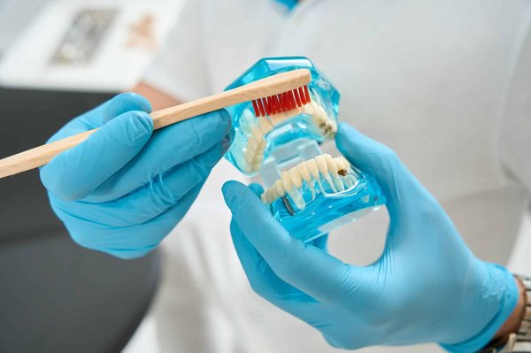 Quel est le rôle de l'hygiéniste dentaire en clinique ?