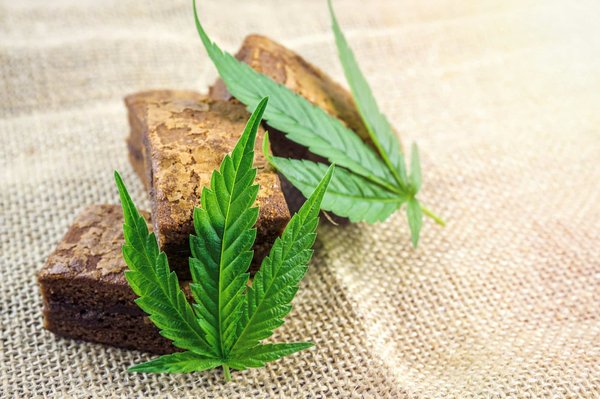 Les règles à suivre pour bénéficier du code promo 'Okiweed' et obtenir des réductions exclusives.