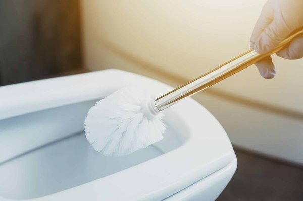 Choisir la meilleure brosse wc en 2024